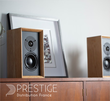 Representative scene of residential activity. 2 library speakers placed on a sideboard
